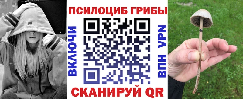 Псилоцибиновые грибы GOLDEN TEACHER  цены наркотик  Петропавловск-Камчатский 